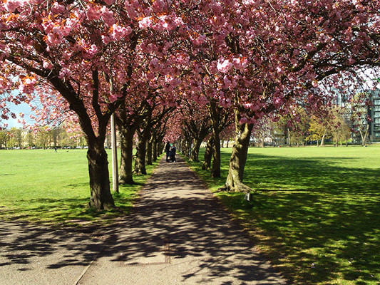 EdinburghSpringCropped
